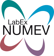 LabexNUMEV